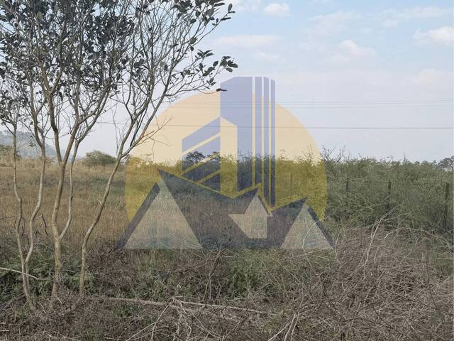#17 - Área para Venta en Tegucigalpa - Distrito Central 