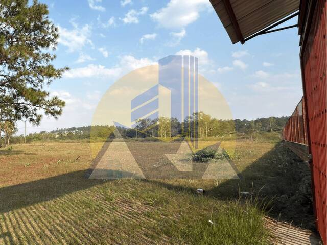  en  - 