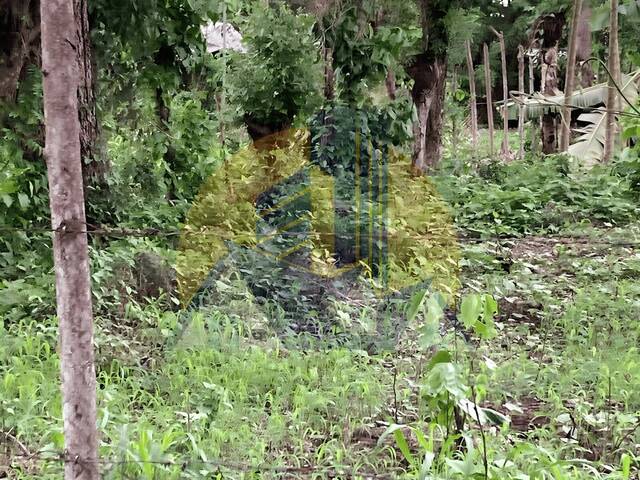 #21 - Área para Venta en Tegucigalpa - Distrito Central 
